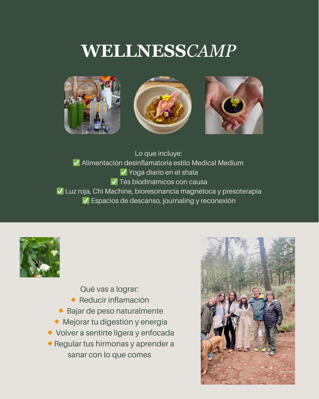 Wellness Camp - TIERRA JIASU · NOV 21-23