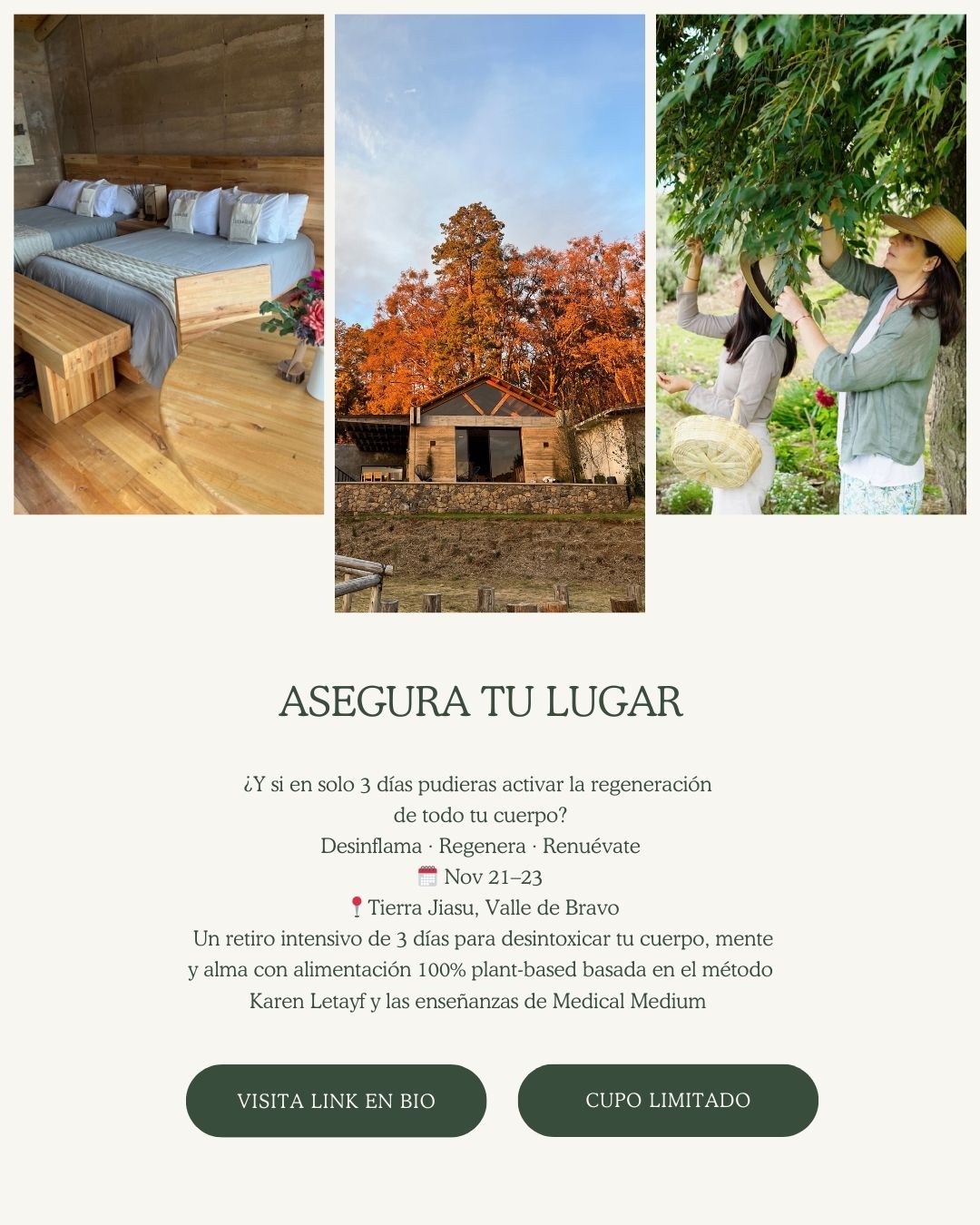 Wellness Camp - TIERRA JIASU · NOV 21-23