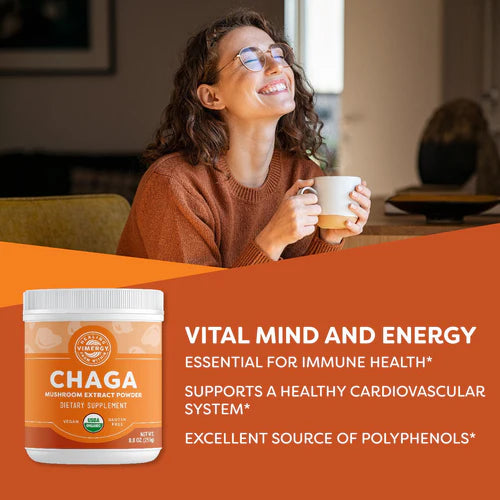 Polvo de Chaga orgánico