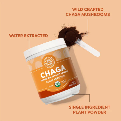 Polvo de Chaga orgánico