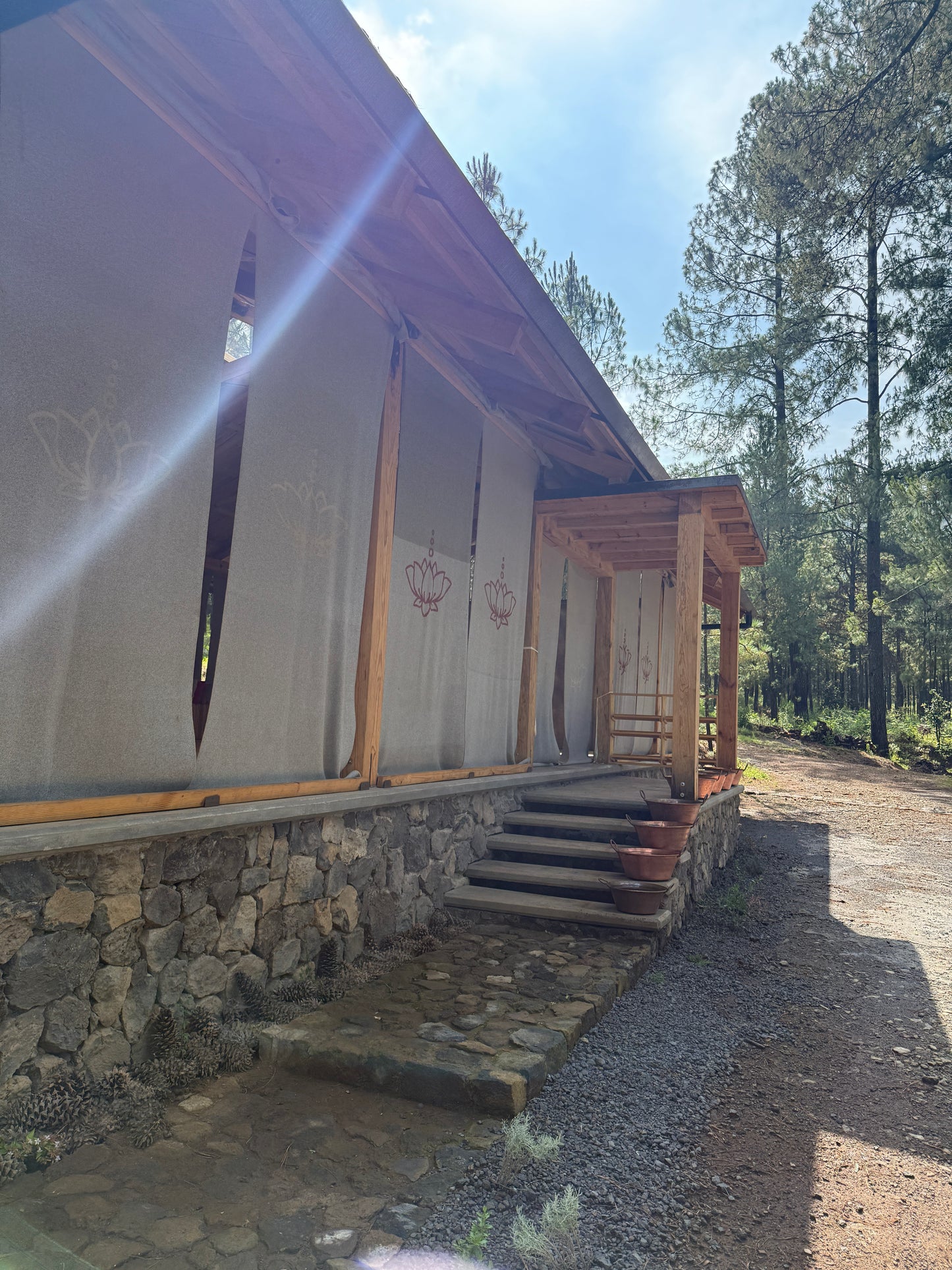 Medical Medium (inspired) Wellness Camp - TIERRA JIASU · NOV 21-23
