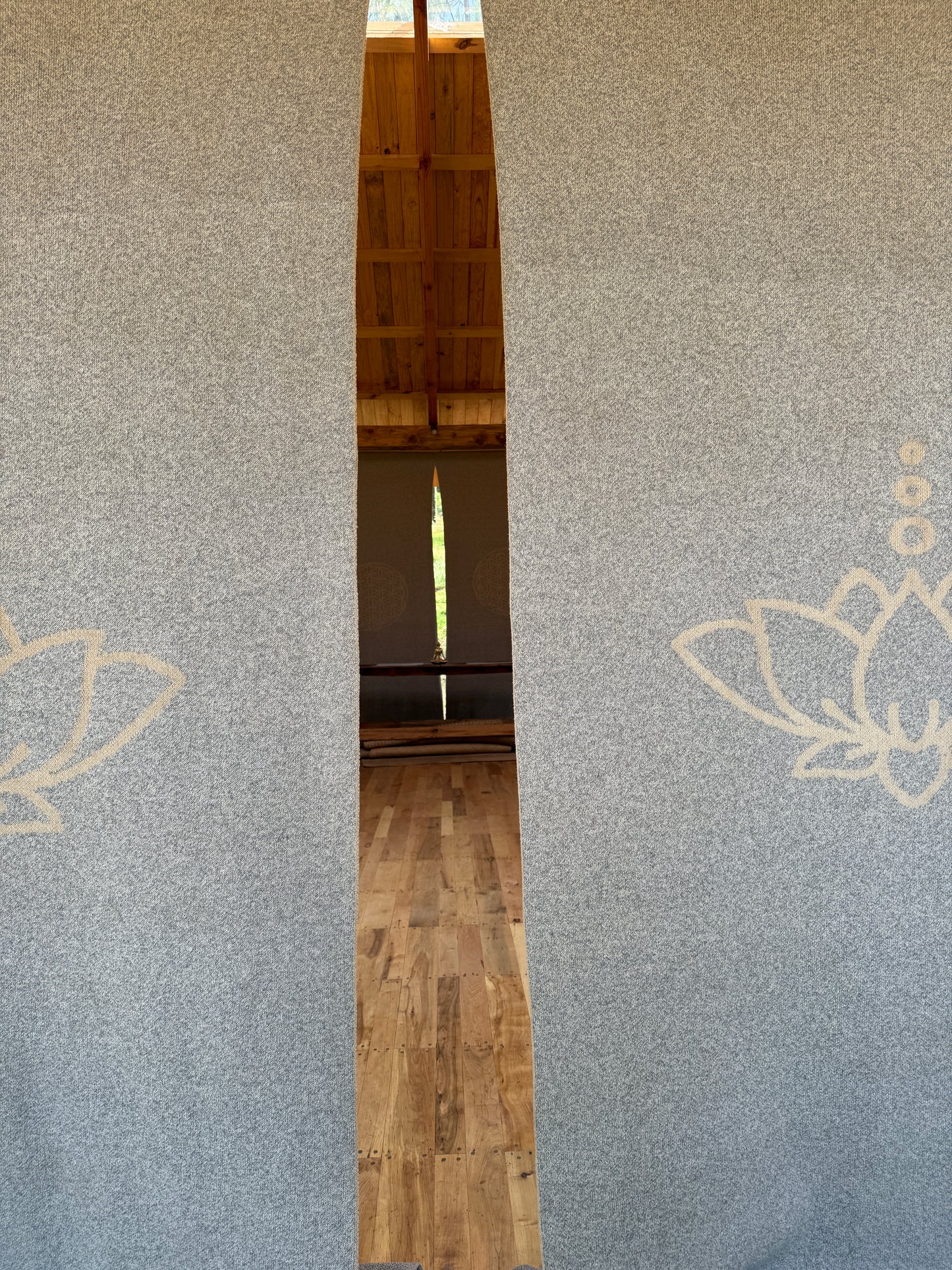 Medical Medium (inspired) Wellness Camp - TIERRA JIASU · NOV 21-23