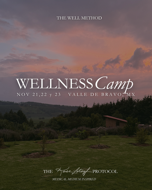 Medical Medium (inspired) Wellness Camp - TIERRA JIASU · NOV 21-23