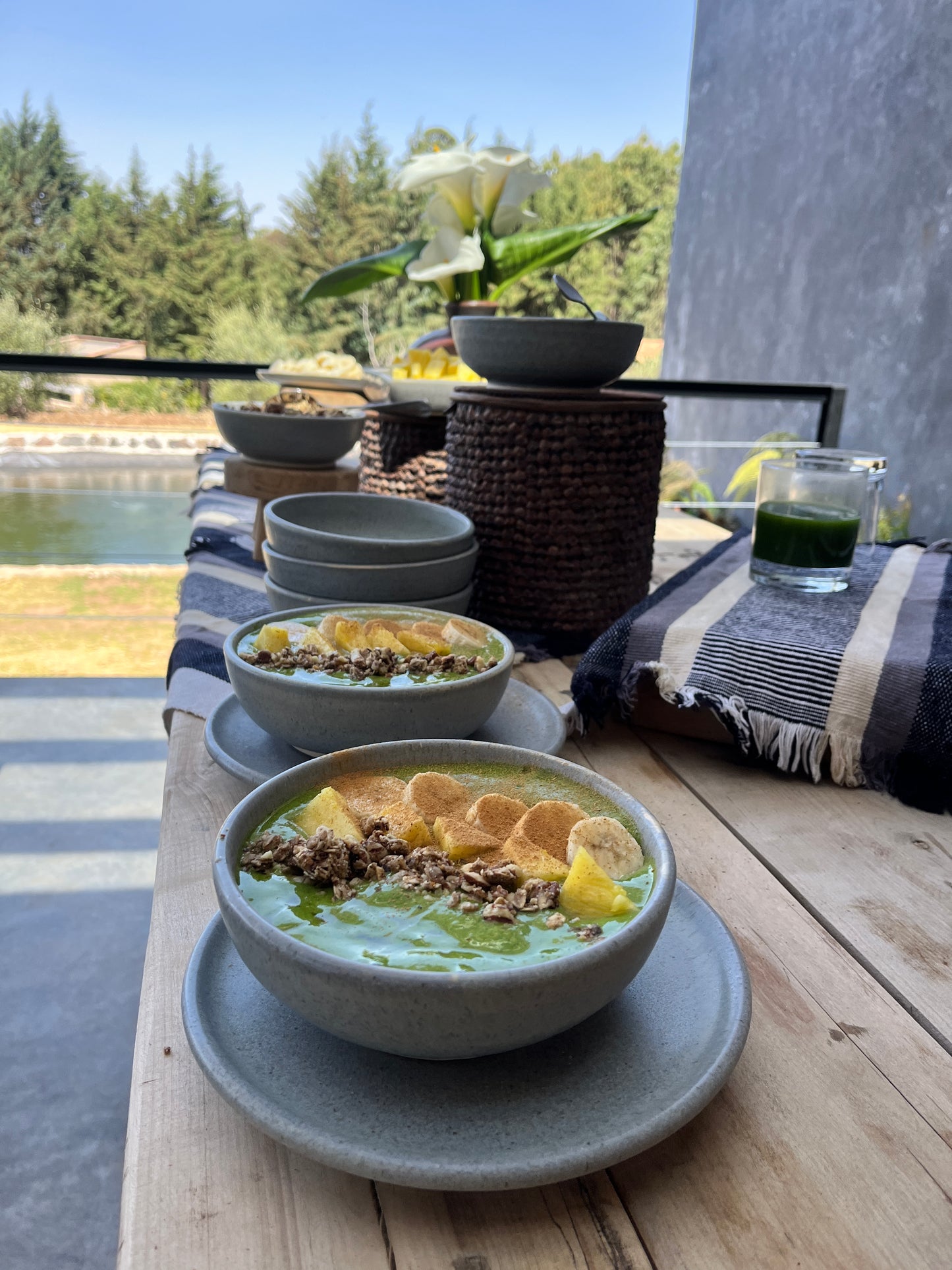 Medical Medium (inspired) Wellness Camp - TIERRA JIASU · NOV 21-23