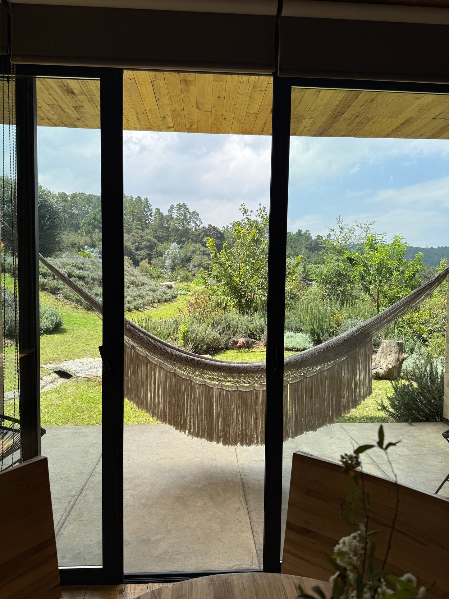 Medical Medium (inspired) Wellness Camp - TIERRA JIASU · NOV 21-23
