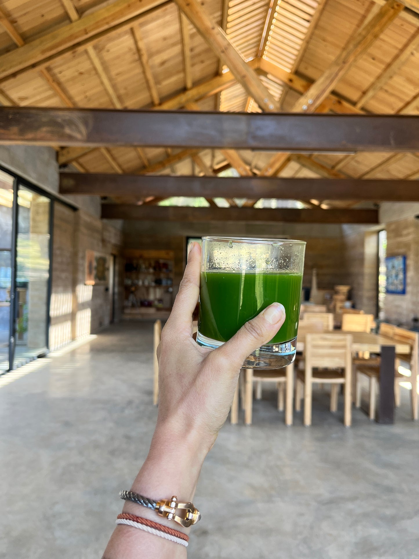 Medical Medium (inspired) Wellness Camp - TIERRA JIASU · NOV 21-23